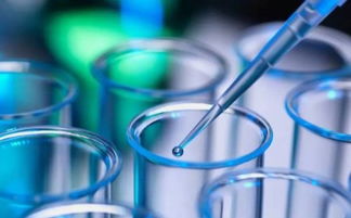 羽蜕启动全员专业化常态化培训 夯实生物科技护肤基础