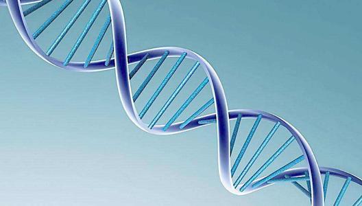 生物三字 生物工程,生物技术,生物科学这些专业有什么区别