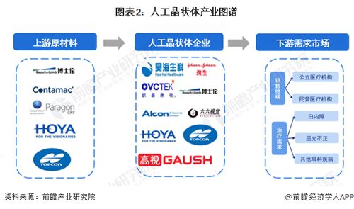 2024年人工晶状体行业产业链全景梳理及区域热力图