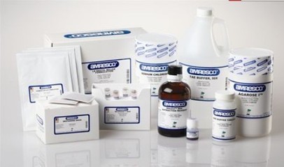 N,N,N,N-四甲基乙二胺_上海义森生物科技