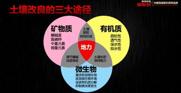 空谈资源,没有核心技术的企业注定被边缘化