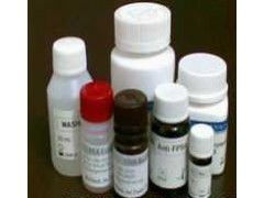 上海皓尘生物科技