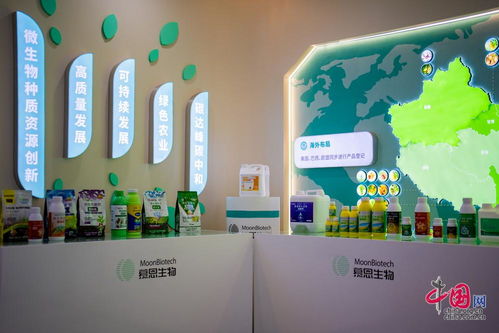 解码湖南合成生物制造的创新密码 从产业布局到企业实践的观察